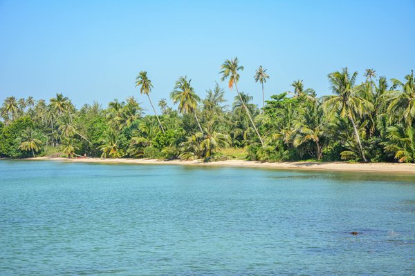 Où pratiquer le snorkeling au milieu des raies manta à Hawaii ?